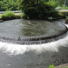 中央から噴き出した水が分水されて流れていくのが面白い