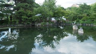 大きな公園です