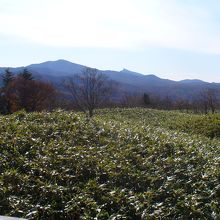 下に下りればこんな景色