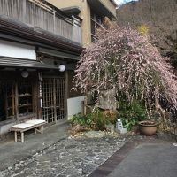 山里会席料理旅館　河鹿園 写真