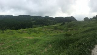 東京から一番近い棚田