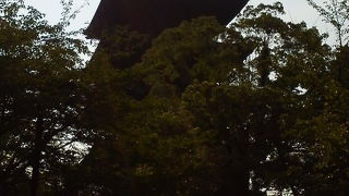 京都のシンボル