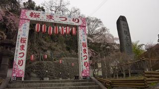 薬師公園桜まつり