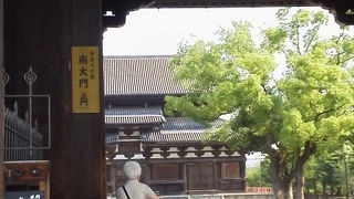 立派な門です！