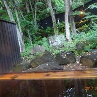 個室露天風呂から庭を見た風景・・・落ち着きます