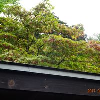 少しだけ紅葉してました。時期が来るとさらに絶景でしょうね。