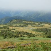 苗場山登山（二日目）