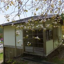 平屋に見えます。