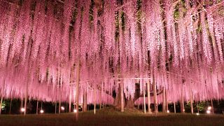 ＧＷ明けに行きました