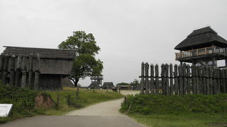 むちゃくちゃ広い！！