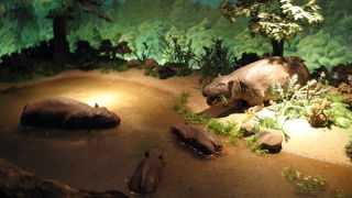 どっちかというとお化け屋敷のような施設です。