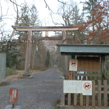 戸隠神社奥社の鳥居です。ここから約2kmの参道が始まる。