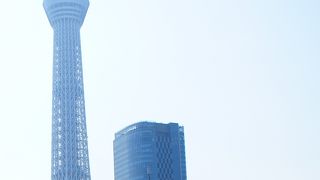 水面がさざ波だっていて逆さツリーは見られませんでした