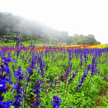 ついでに加工するとどんな色が出るかも試してみました