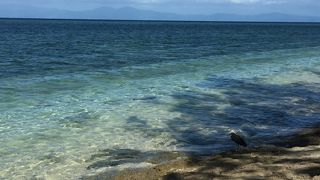 エメラルド色の海にうっとり