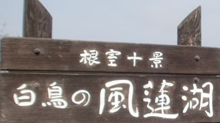 ラムサール条約登録湿地。