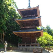 隣りのお寺より