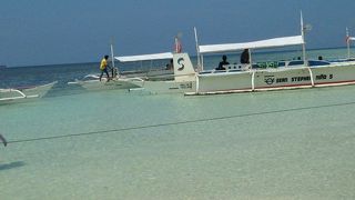 魚がいっぱいいる