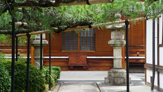 表はフェンスで守られていて