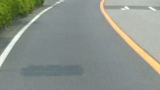 千葉市から房総に伸びる国道