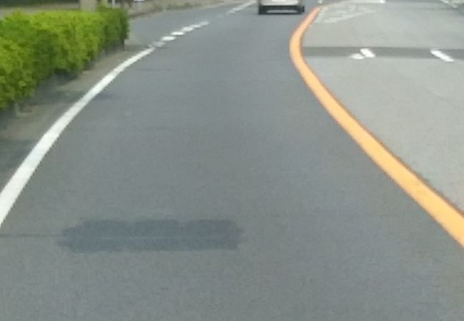 千葉市から房総に伸びる国道