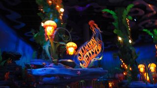 緩やかなクラゲ