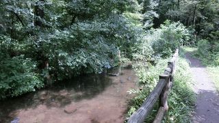 住人が掃除、清い流れは健在