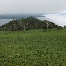 手前の緑と湖のコントラストが美しかったです。