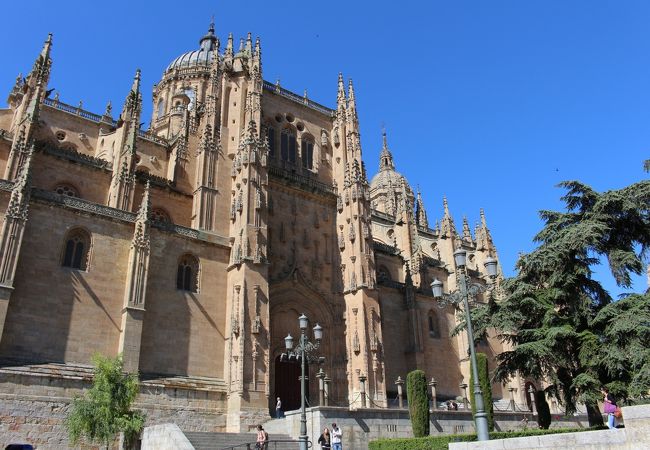 新カテドラルの北側にあり、少しほっとできる場所です。