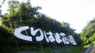 散策には最適です。