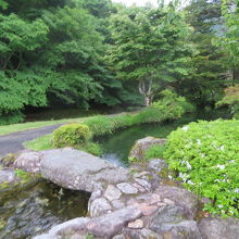 散策もできます