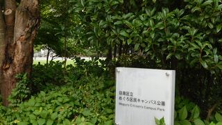 芝生広場のある公園