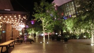 整備された遊歩道