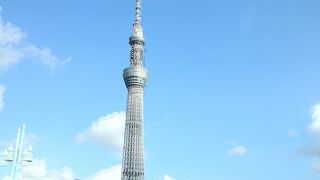 スカイツリーを正面に