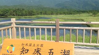 往復１，６ｋｍの高架木道を行く