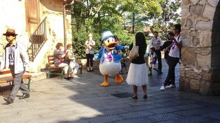 妊娠中のディズニーシー