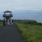 西ノ島の奇勝が一望できる