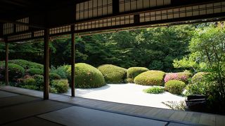 サツキの季節に行きました