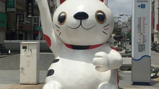 招き猫がいます