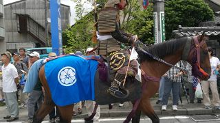 馬がかわいそうという意見もわかります