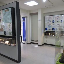 寄生虫館展示