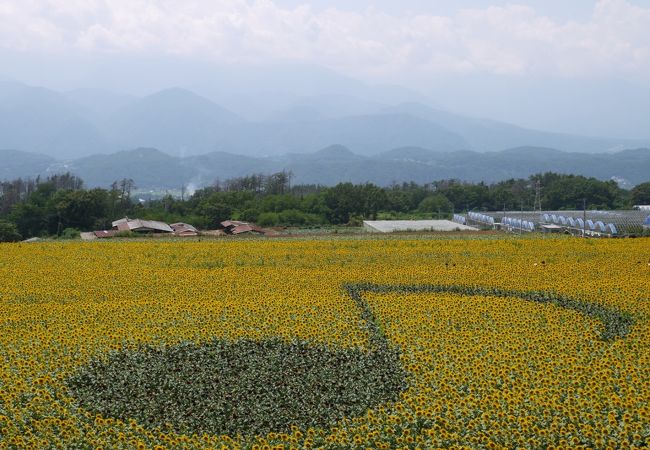 ひまわり味のソフトクリームが微妙な味