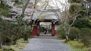 静かな桜の名所