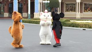 久しぶりに並んだ