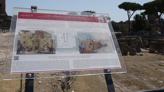 素晴らしいフォロの集まり