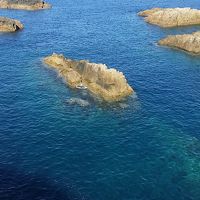 展望台からの雄大な太平洋