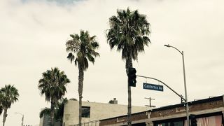 お洒落なセレクトショップに出会える！