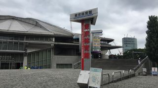 スイミングプール