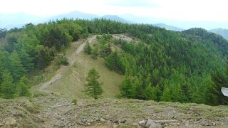 運が良ければ動物との出会いも
