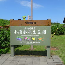 駐車場からすぐの入り口です。